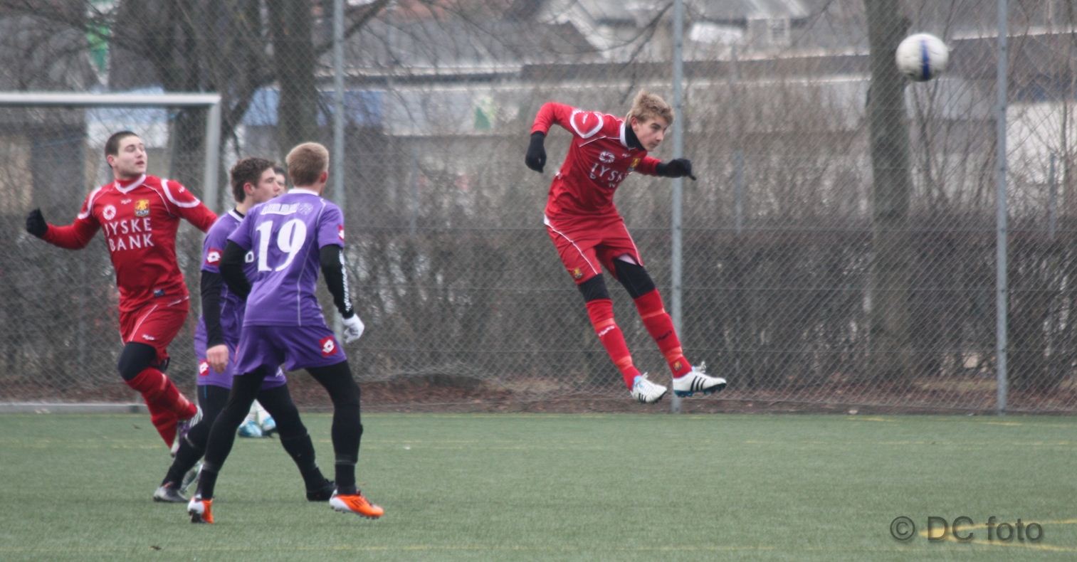 HOLB FCN008